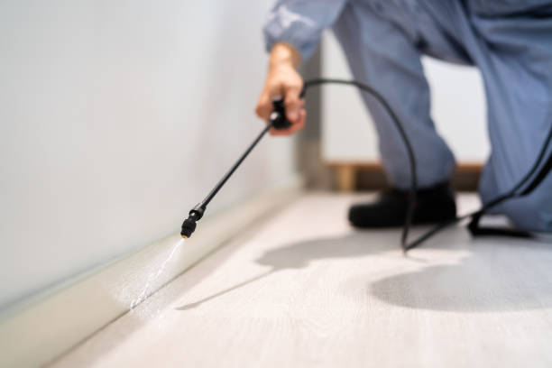Bed Bug Pre-Treatment Preparation Assessment in Whitesburg