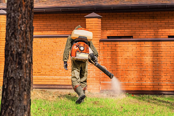 Bed Bug Clearance Verification and Documentation in Whitesburg